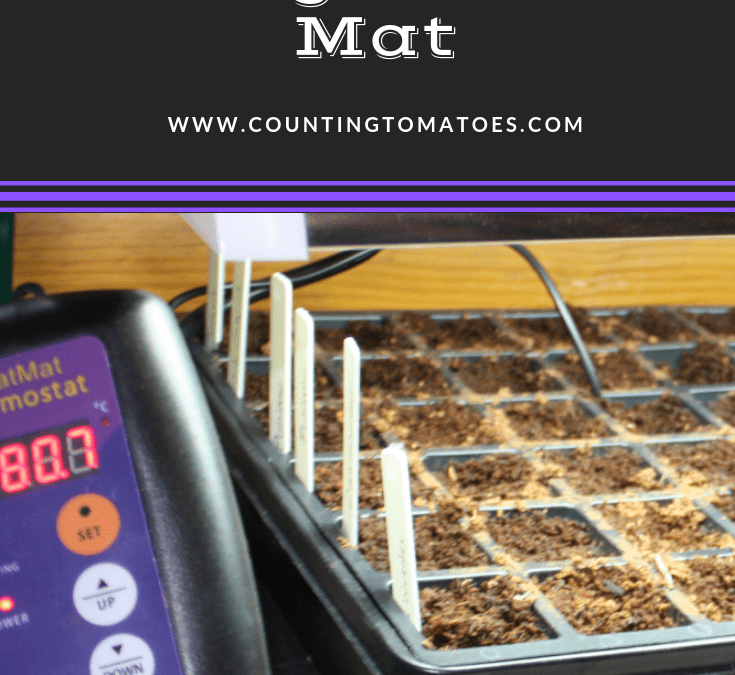 Starting Seeds Using a Heat Mat