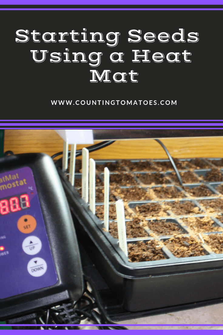 Starting seeds using a heat mat counting tomatoes