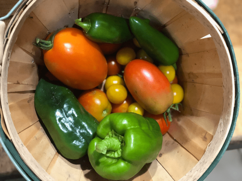 Peppers and Tomatoes in Basket