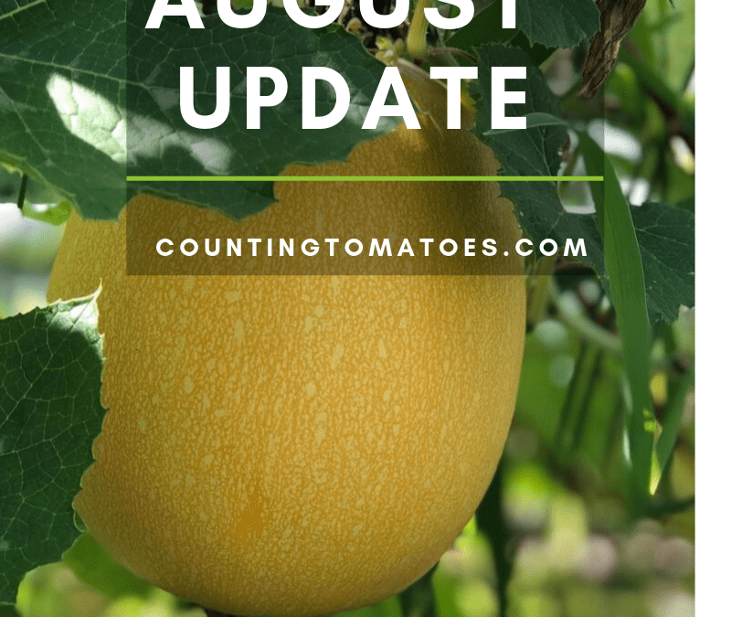 August Garden Update – Zone 9A Gophers and Spaghetti Squash