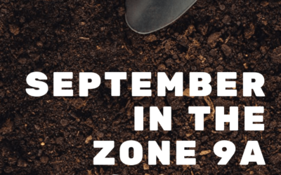 September Garden Update – Zone 9A