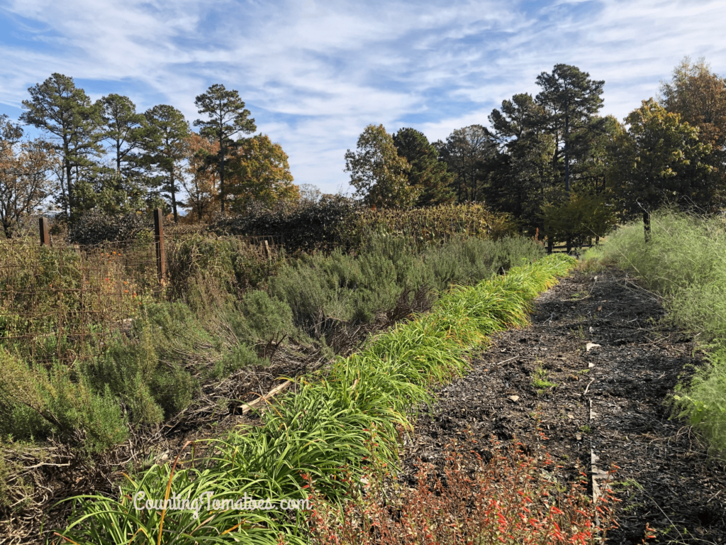 P Allen Smith Vegetable Garden