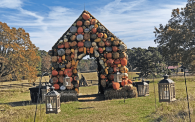 Tour of P. Allen Smith’s Moss Mountain Farm