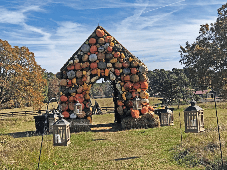 Pumpkin House at Moss Mountain Farm