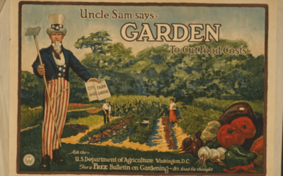 Victory Garden Movement & How to Get Started