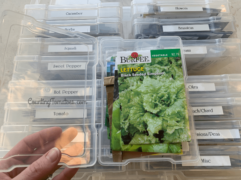 How to Store and Organize Seed Packets