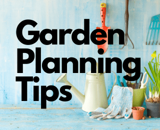 Garden Planning Tips for a Successful Growing Season