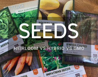 Differences in Heirloom vs Hybrid vs GMO Seeds