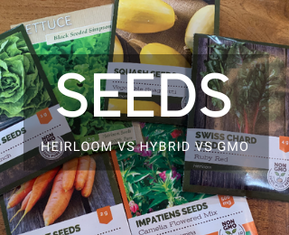Differences in Heirloom vs Hybrid vs GMO Seeds
