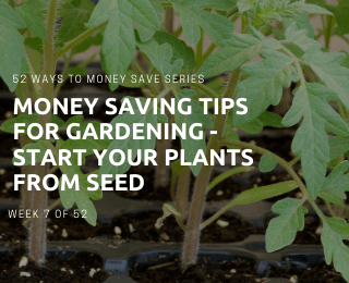 Save Money by Starting Your Garden from Seeds