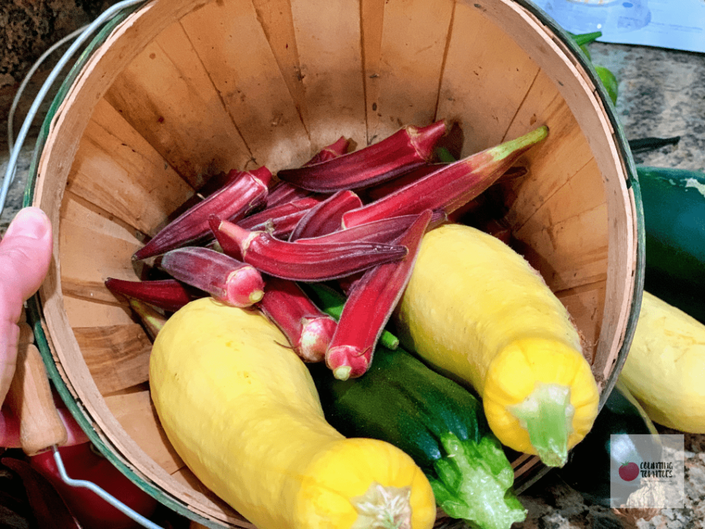 Okra and Squash in Basket