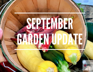 Vegetables to Grow in September in the Southern Garden