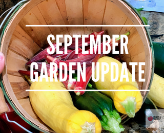 Vegetables to Grow in September in the Southern Garden