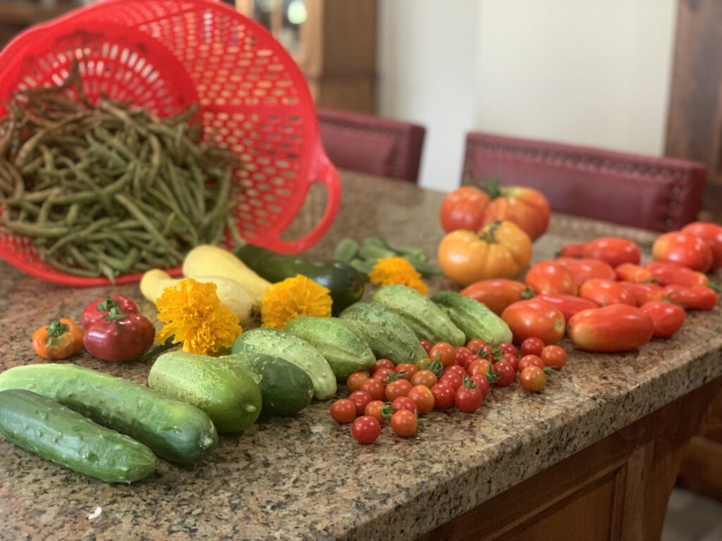 Vegetables in season in June