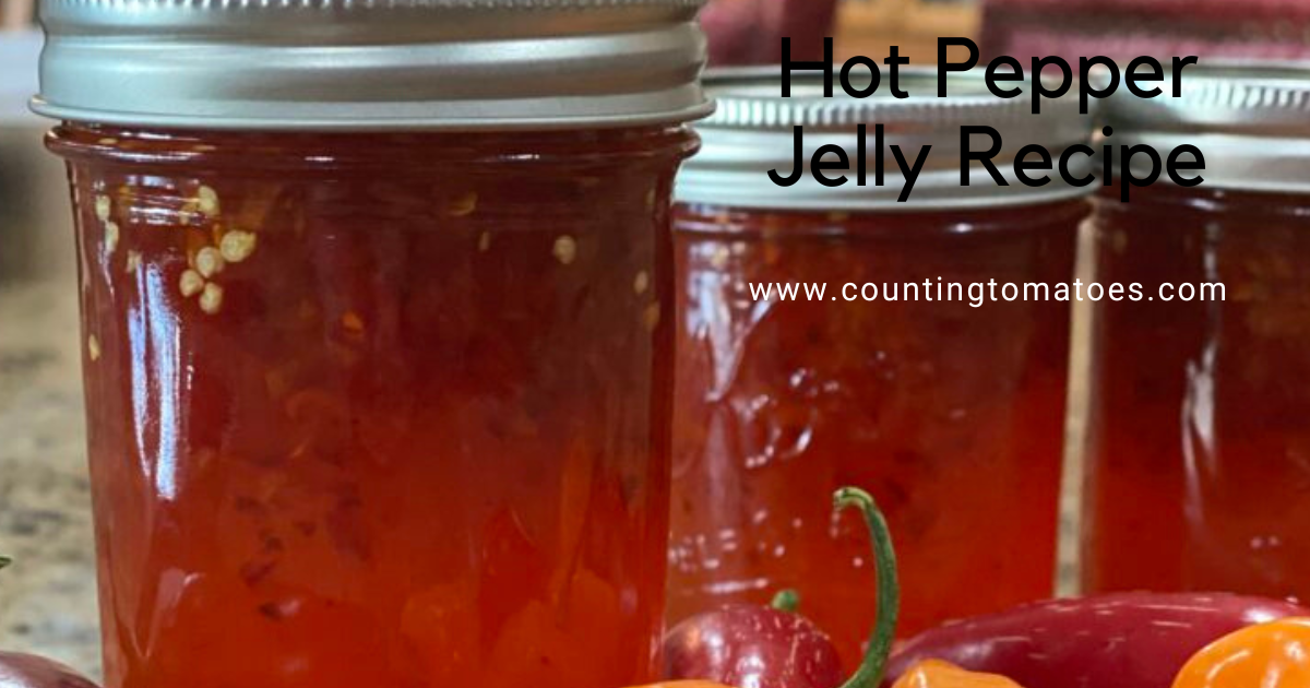 Hot Pepper Jelly Recipe | Counting Tomatoes