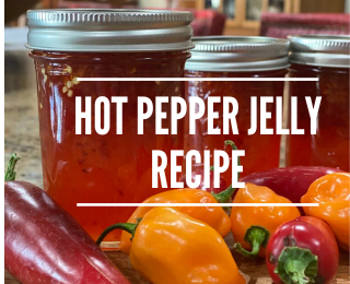 How to Make Habanero Hot Pepper Jelly