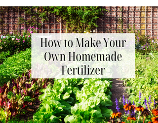 How to Make Your Own Homemade Phosphorous Fertilizer at Home