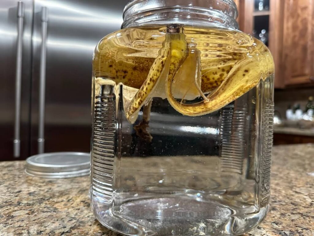 Banana Peels in Water