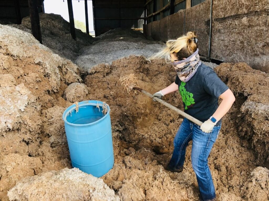 Woman Shoveling Cotton Burrs