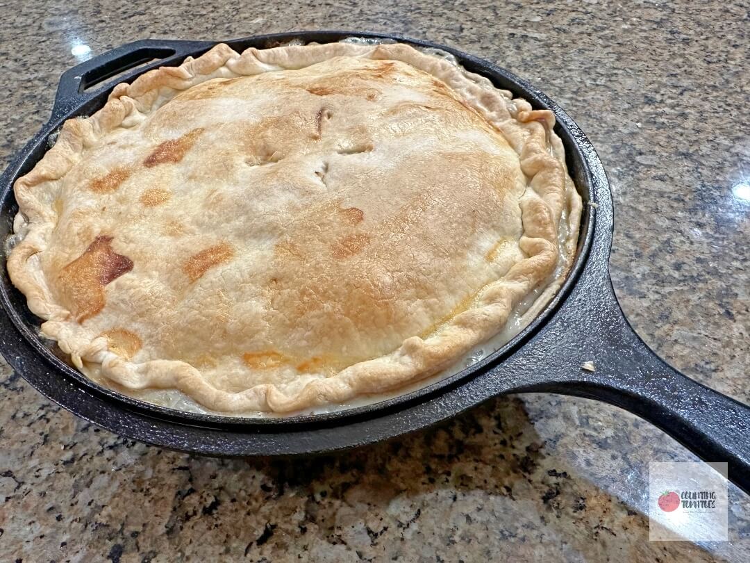Skillet chicken pot pie